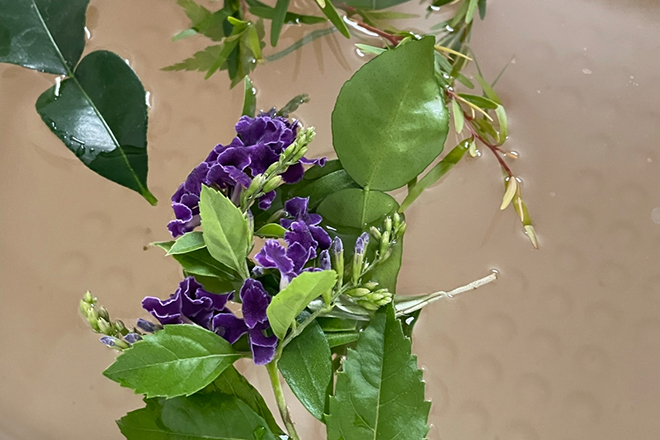 Thai&Asian relaxation salon Si sawat | 心斎橋のリラクゼーション Thai&Asian relaxation salon Si sawat | 心斎橋のリラクゼーション