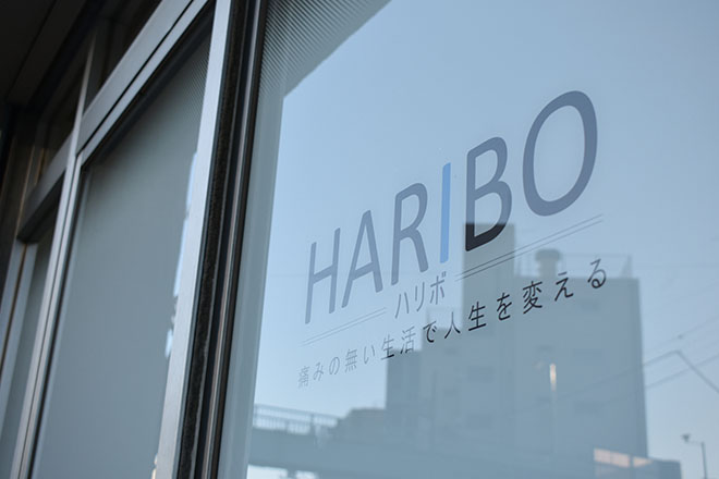 整体院 HARIBO | 田園調布のリラクゼーション