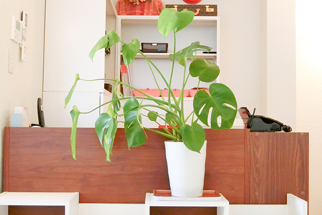 ルーチェ | 名駅のエステサロン