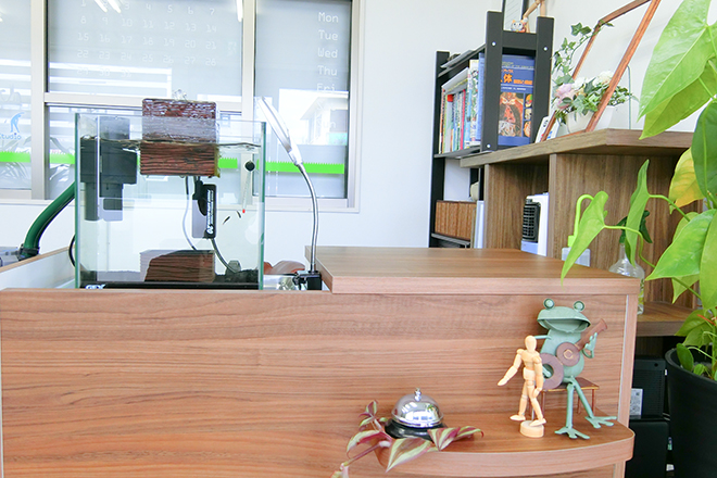 PNFバランススタジオ | 大阪挟山のリラクゼーション