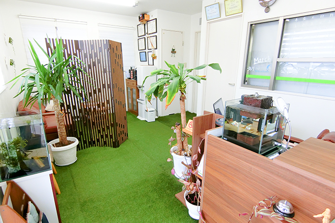 PNFバランススタジオ | 大阪挟山のリラクゼーション