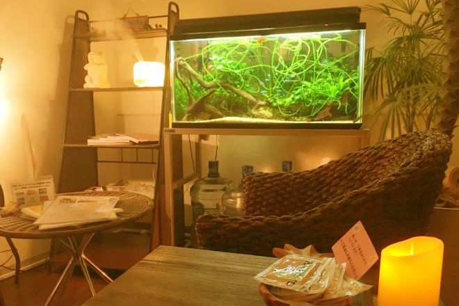 アクアリズム | 新宿のリラクゼーション