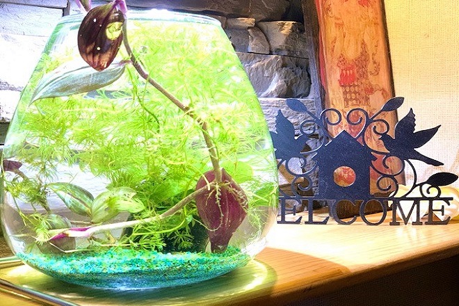 AntreAmora タイ・マッサージ新橋 | 新橋のエステサロン