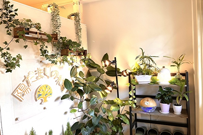 陽だまりの杜 | 藤が丘のエステサロン