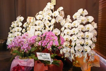 もみの匠 中野店 | 中野のリラクゼーション