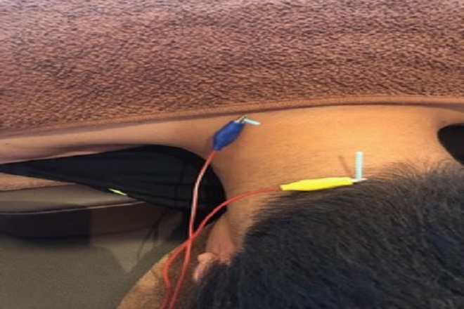 髙田鍼灸カイロプラクティック | 錦糸町のリラクゼーション 髙田鍼灸カイロプラクティック | 錦糸町のリラクゼーション