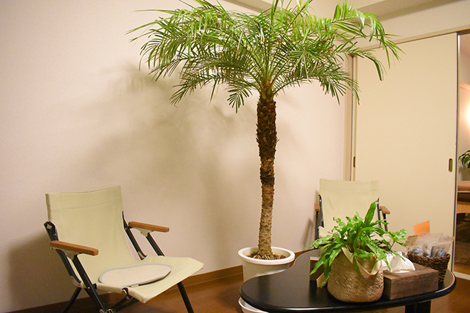 ココロとカラダをととのえる ゆらりら | 調布のリラクゼーション