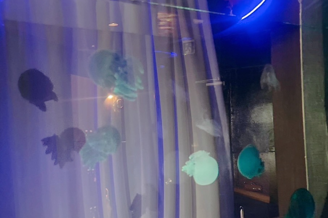 ~頭ほぐし専門店~ Ryu | 北九州のリラクゼーション