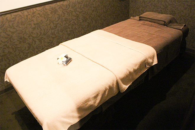 アロマリンパマッサージ Bodysh西銀座デパート店 | 銀座のエステサロン