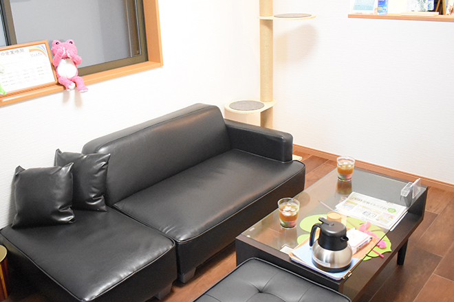 Uakoko リラクゼーションサロン | 亀有のリラクゼーション