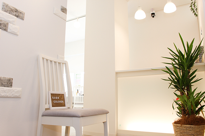 sage colorer | 松戸のエステサロン