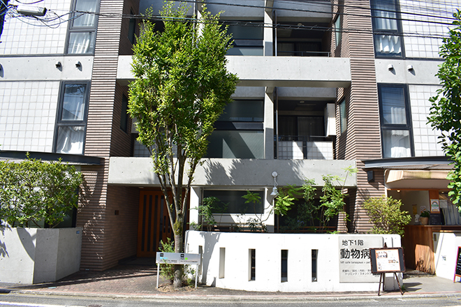 シエルドマリ 田園調布 | 田園調布のエステサロン