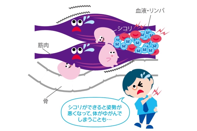 芦屋FRESHLY | 芦屋のリラクゼーション