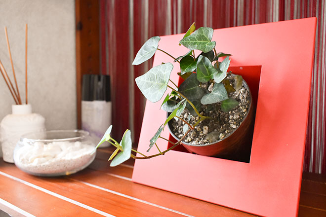 カイロプラクティック美癒館 | 甲賀のリラクゼーション