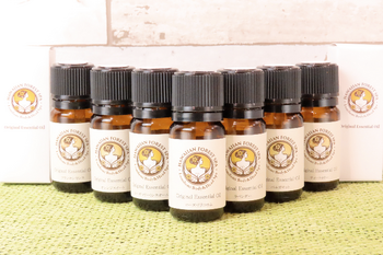 ハワイアンフォレストSpa名古屋黒川店～ロミロミボディ&ヘッドスパ～ | 大曽根/黒川のエステサロン