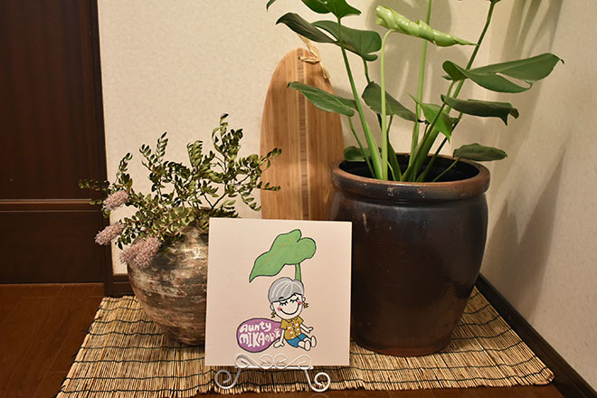 Aunty MIKAのいえ | 阪南のリラクゼーション Aunty MIKAのいえ | 阪南のリラクゼーション