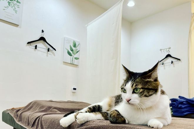 ほぐし処 癒し日和 南行徳店 | 行徳のリラクゼーション