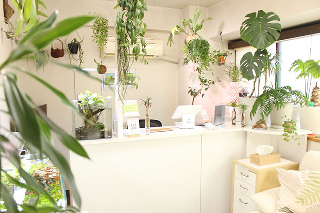 恵比寿整体 nature | 恵比寿のリラクゼーション