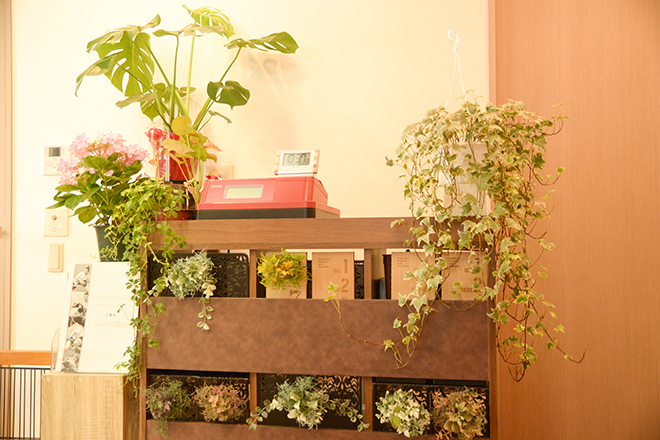 整体 Plus リラクゼーション「ととのえ 六甲道院」 | 灘/六甲(摩耶)のリラクゼーション 整体 Plus リラクゼーション「ととのえ 六甲道院」 | 灘/六甲(摩耶)のリラクゼーション