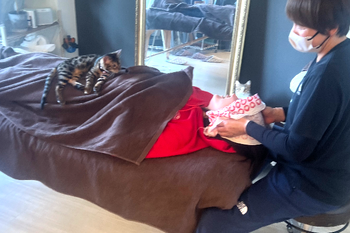 GORISAN-D-LABO | 寝屋川のエステサロン