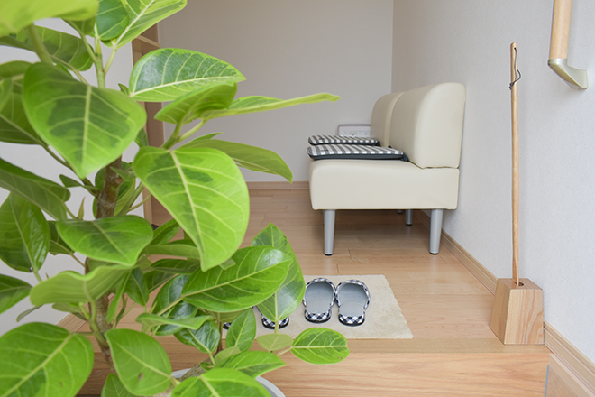 かわい鍼灸院 | 半田のリラクゼーション かわい鍼灸院 | 半田のリラクゼーション