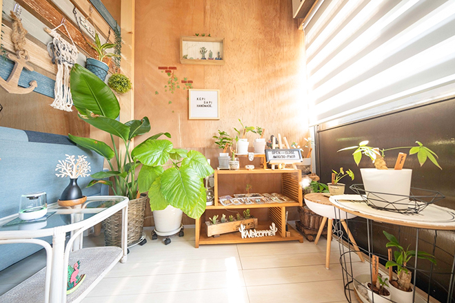 relaxation aesthetic salon. Lag∞n. | 土佐のエステサロン relaxation aesthetic salon. Lag∞n. | 土佐のエステサロン