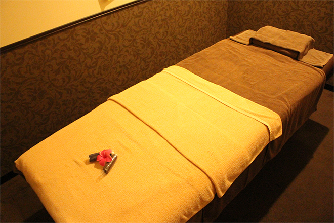 アロマリンパマッサージ Bodysh本町立売堀店 | 本町のエステサロン