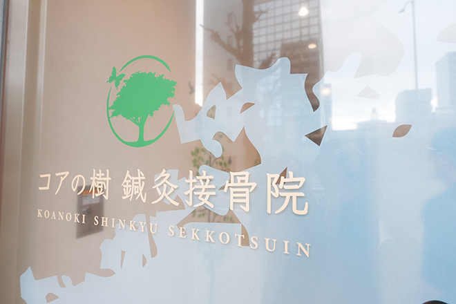 コアの樹 鍼灸接骨院 | 栄/矢場町のエステサロン
