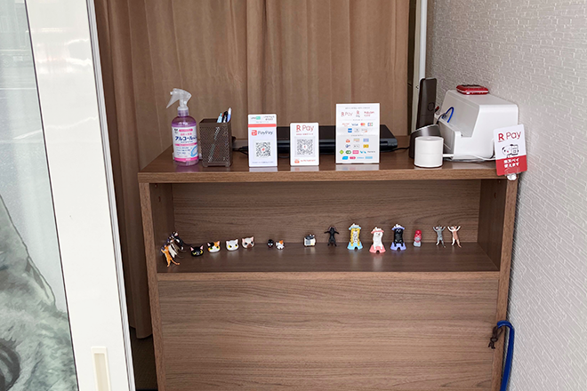 腰痛整体 猫の手 | 十和田のリラクゼーション