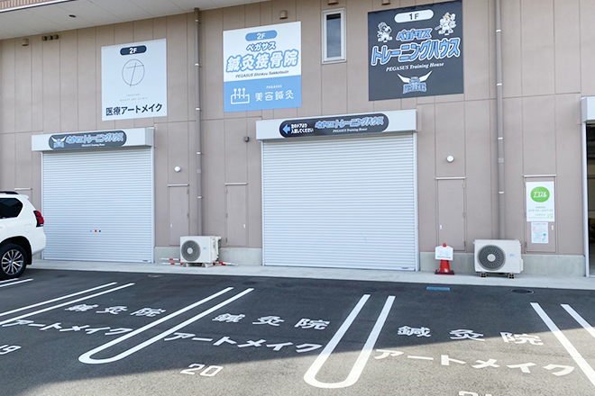ペガサス鍼灸接骨院 | 高崎のエステサロン ペガサス鍼灸接骨院 | 高崎のエステサロン
