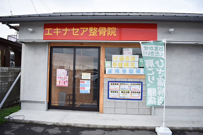 エキナセア整骨院 | 茂原のリラクゼーション エキナセア整骨院 | 茂原のリラクゼーション