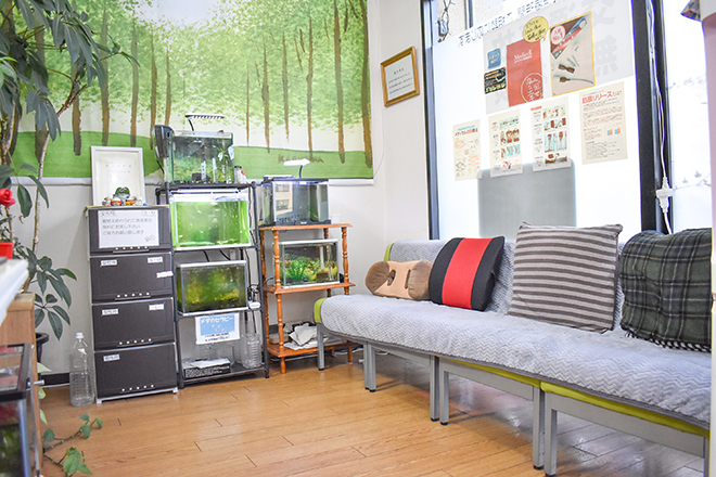 伏見ボディケア整体院 | 伏見のリラクゼーション