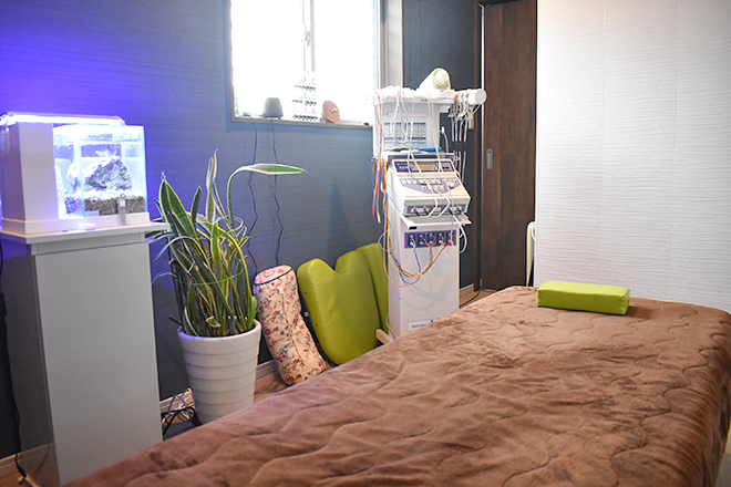 たかはし整骨院 子宝整体院 | 加古川のリラクゼーション たかはし整骨院 子宝整体院 | 加古川のリラクゼーション