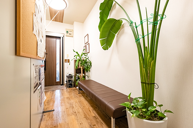 first カイロプラクティック | 富士のリラクゼーション