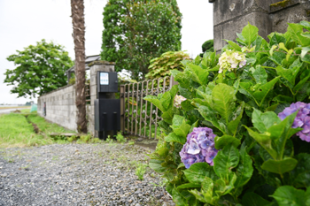 moana | 筑西のリラクゼーション