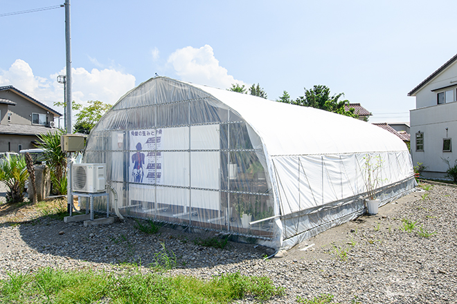 健康サロン優心 | 長久手のリラクゼーション