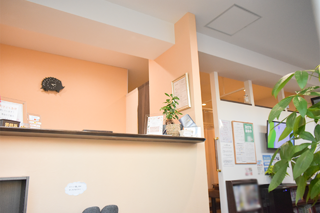 Body care salon Lupinus | 明石のエステサロン