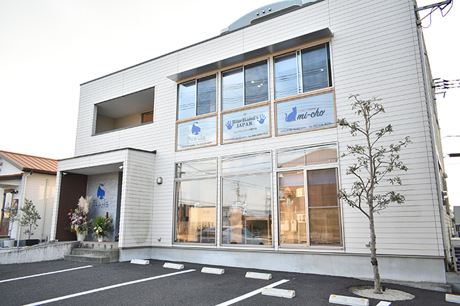 ハリシテ | 大分のエステサロン