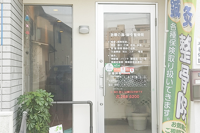 治療の森 鍼灸整骨院 | 静岡のエステサロン