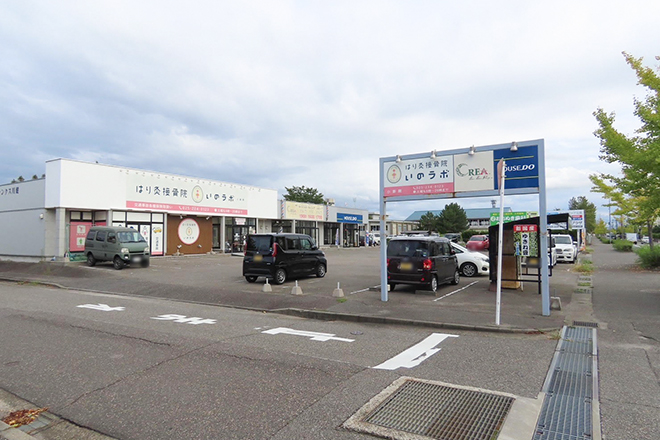 はり灸接骨院いのラボ 小新院 | 新潟のリラクゼーション