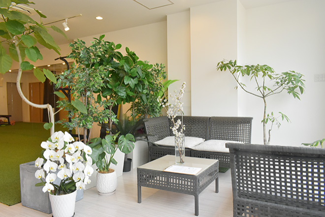 matural鍼灸院 | 箕面のリラクゼーション