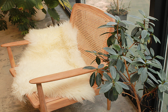 daisy-eyelash- | あまのエステサロン daisy-eyelash- | あまのエステサロン