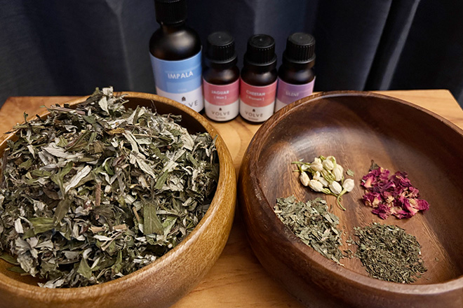 Bellferna | 日暮里のリラクゼーション Bellferna | 日暮里のリラクゼーション