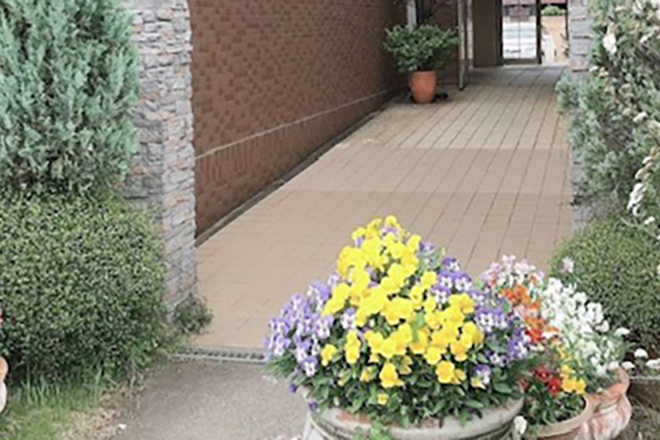 private エステサロン Lajoie | 西尾のエステサロン private エステサロン Lajoie | 西尾のエステサロン