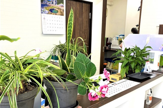 なかやま整骨院 | 松原のリラクゼーション