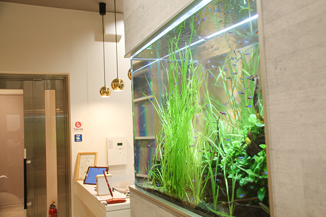 Re:Body Pro 整体 新宿 | 代々木のリラクゼーション