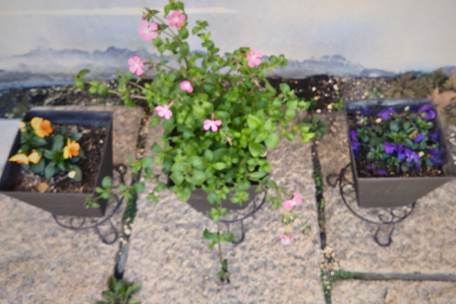 COCO ココ | 焼津のエステサロン