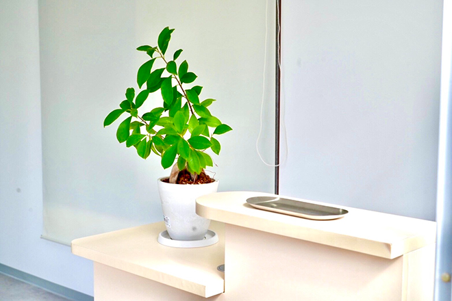 ulmer~ユルメール~整体院 | 豊川のリラクゼーション ulmer~ユルメール~整体院 | 豊川のリラクゼーション