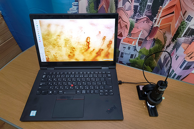 水素 耳つぼジュエリーサロン 清耳み 【shijimi】 | 駒込のリラクゼーション 水素 耳つぼジュエリーサロン 清耳み 【shijimi】 | 駒込のリラクゼーション