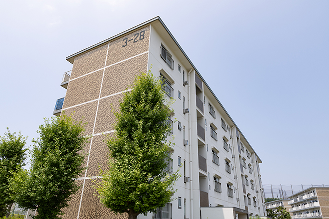 漢方オイル 木のき | 八千代のリラクゼーション